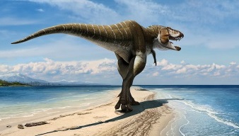 Phát hiện khủng long bạo chúa mới